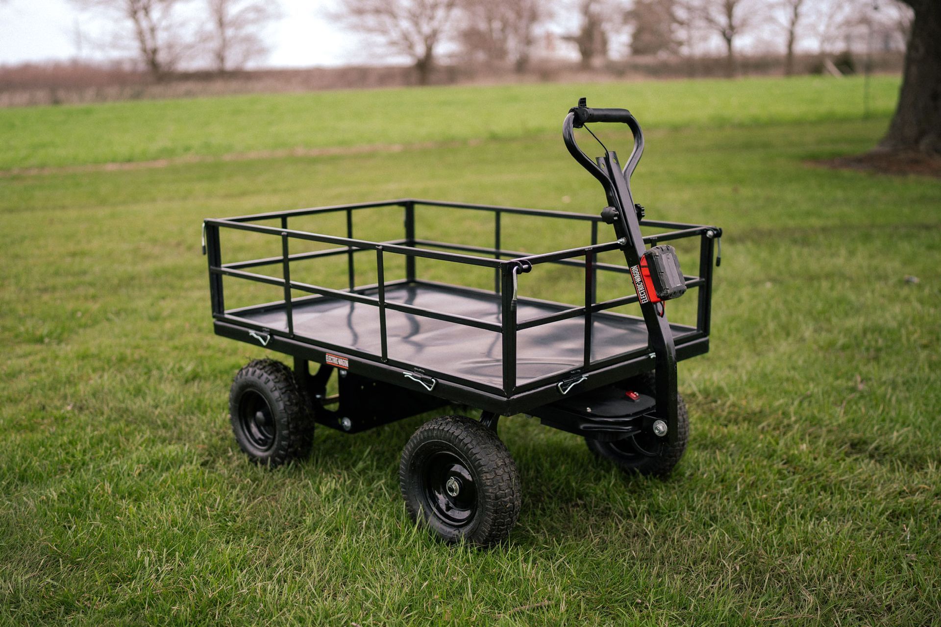 Black electric wagon with metal rails on green grass field